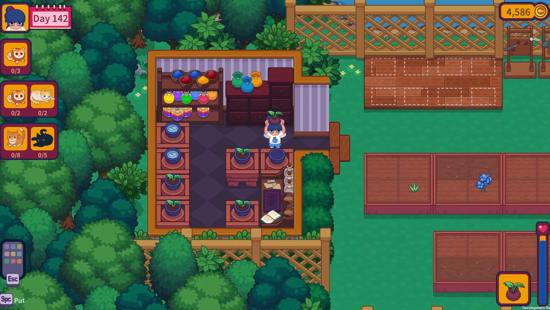 猫咪花园/Meow Garden-4 猫咪花园/Meow Garden-4