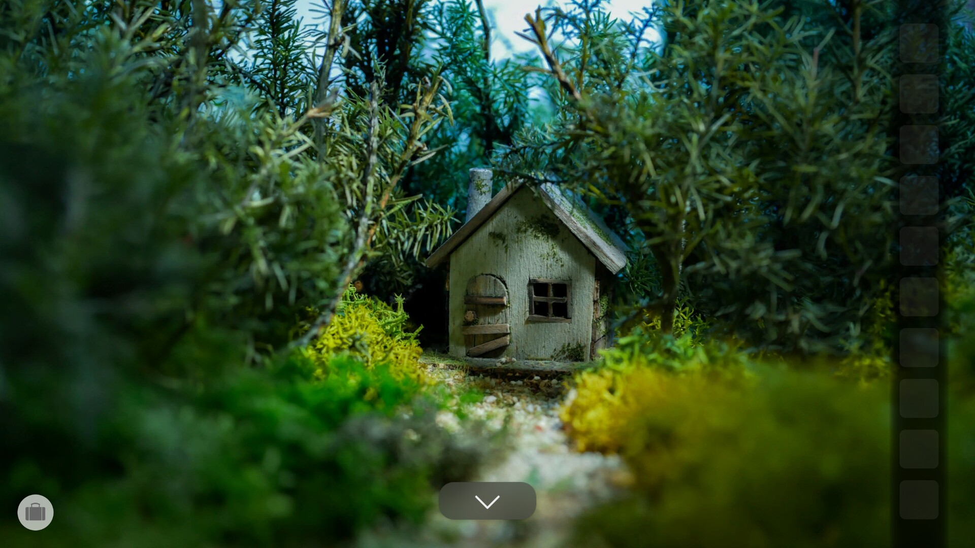 微缩世界：四季/Miniature LAND -Four Seasons--5