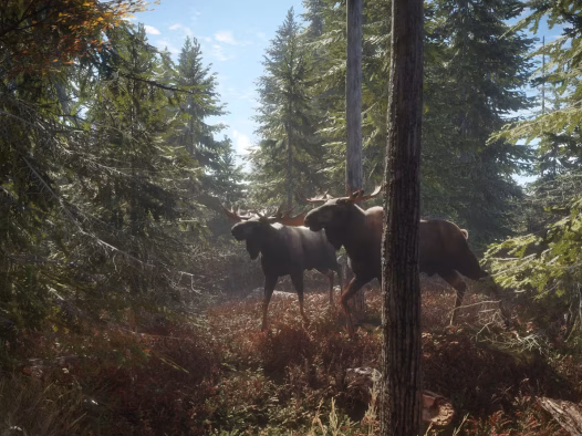 猎人：荒野的召唤/theHunter: Call of the Wild