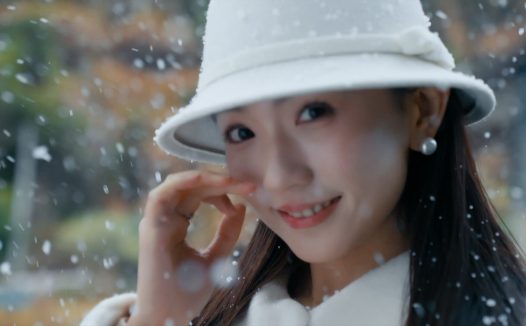 雪落情书时/A Love Letter in Snowfall