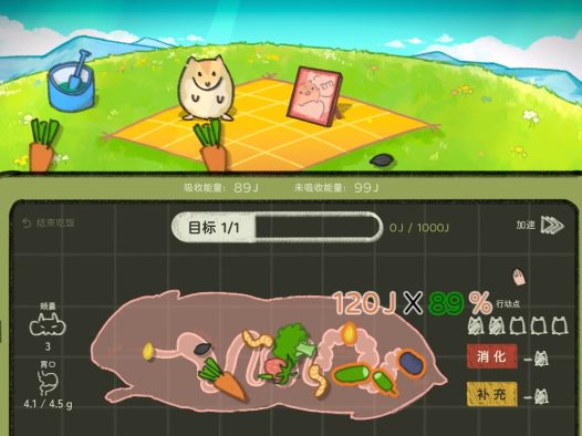 鼠吃跑/Hamster, Eat, Run