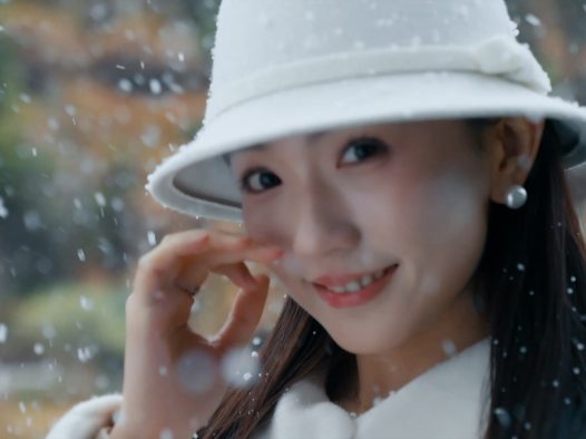 雪落情书时/A Love Letter in Snowfall