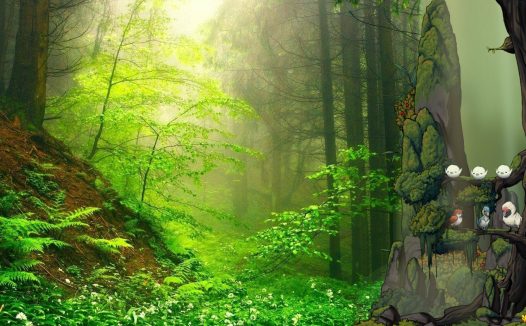 幻鸟之森/Fantasy Bird Woods
