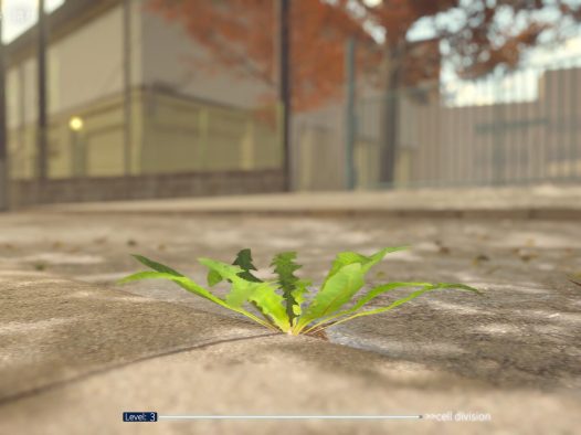 蒲公英不屈。/The Dandelion Endures.