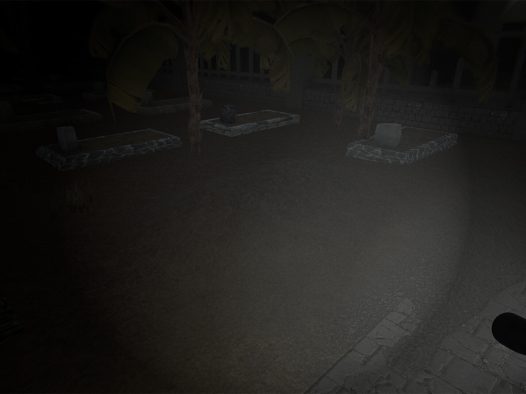 加班：夜间巡逻/Overtime : Patrol