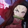鬼灭之刃 火之神血风谭/Demon Slayer -Kimetsu no Yaiba- The Hinokami Chronicles voices38