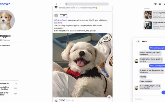 假书/FAKEBOOK