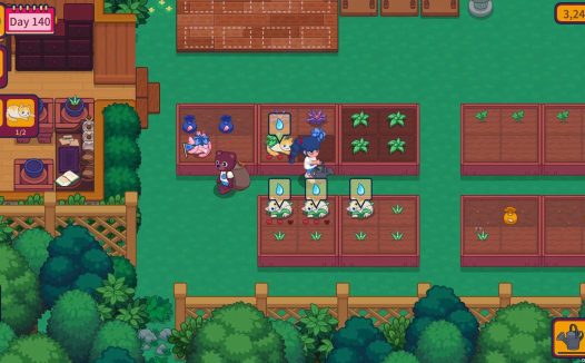 猫咪花园/Meow Garden