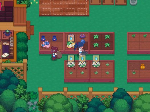 猫咪花园/Meow Garden